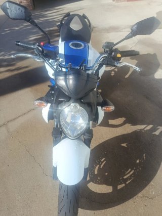 Suzuki Gladius