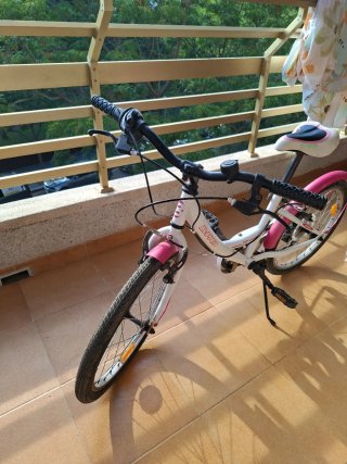 Bicicleta niña B-Pro aro 20