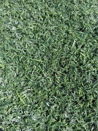 Césped artificial verde