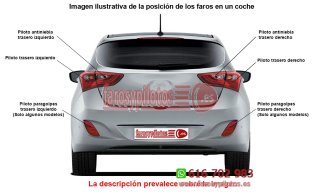 Piloto Lateral Derecho RENAULT SCENIC II año 2003
