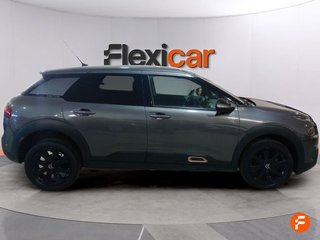 Citroën C4 Cactus BlueHDi 100 S&S Business