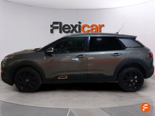 Citroën C4 Cactus BlueHDi 100 S&S Business