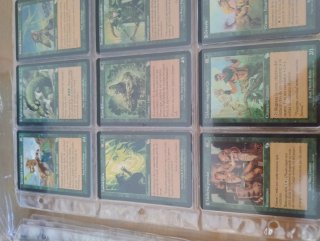 Magic The Gathering. Juicio