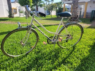 Bicicleta Paseo G.A.C