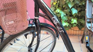 Bicicleta Urbana Paseo City 45