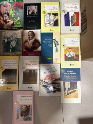 Lote de libros variados. Precio negociable