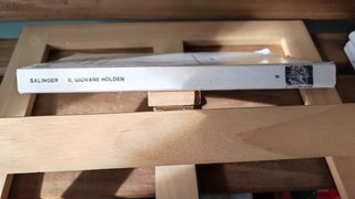 Il giovane Holden