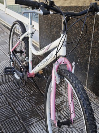 Bicicleta JL-Wenti Runner 26