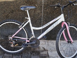 Bicicleta JL-Wenti Runner 26