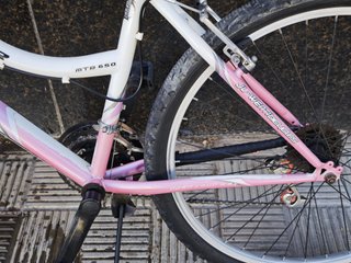 Bicicleta JL-Wenti Runner 26