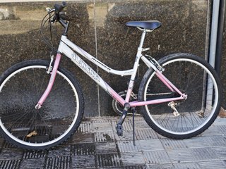 Bicicleta JL-Wenti Runner 26
