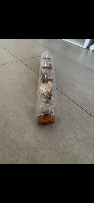 Porta candele in vetro e plastica