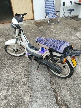 Derbi Variant Start Morado/Blanco