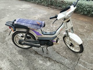 Derbi Variant Start Morado/Blanco