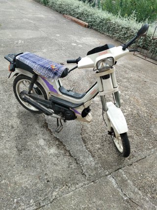 Derbi Variant Start Morado/Blanco
