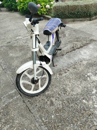 Derbi Variant Start Morado/Blanco