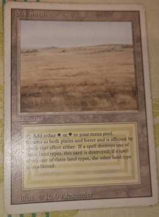 Carta Magic Savannah Dual Land. Rara