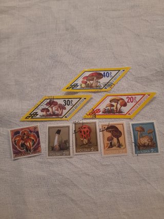 Serie francobolli funghi