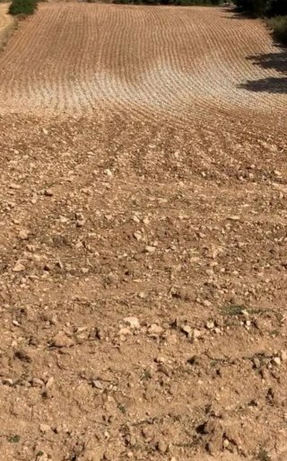 Lote de parcelas en Millana y Casasana. Hay como 4