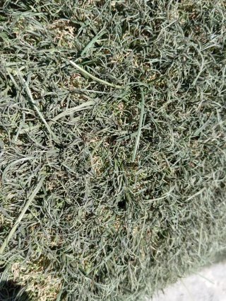 Césped artificial verde