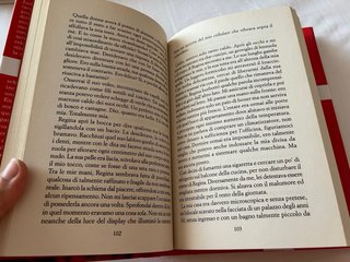 Libro “La distanza tra me e te” di Lucrezia Scali