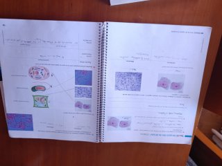 BIOLOGIA I GEOLOGIA 1 (LC+QA+DIGITAL) (SITUACIONS)