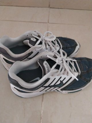 Zapatillas Nike Air Pegasus T.39