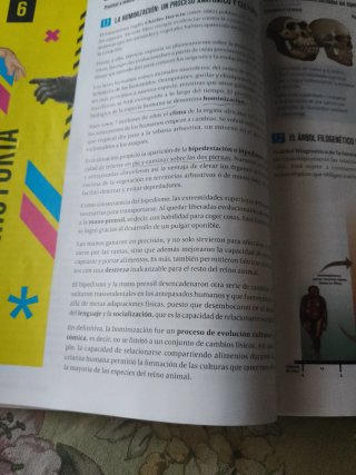Proyecto: FanFest - Geografía e Historia 1 ESO