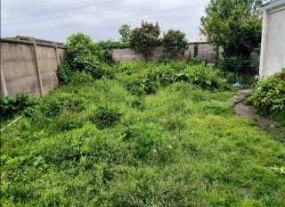 Jardinero económico