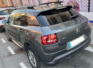 c4 CACTUS