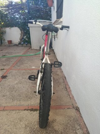 Bicicleta infantil