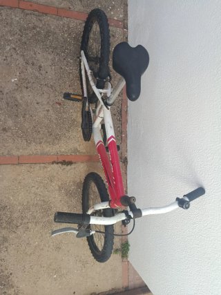 Bicicleta infantil