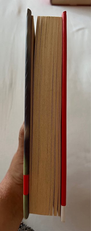 Libro “Emma in love” di Lidia Ottelli