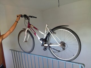Bicicleta Topbike