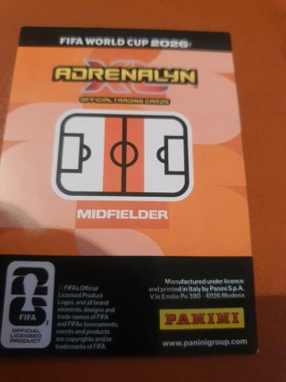 Panini FIFA World 2026