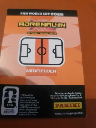 Panini FIFA World 2026