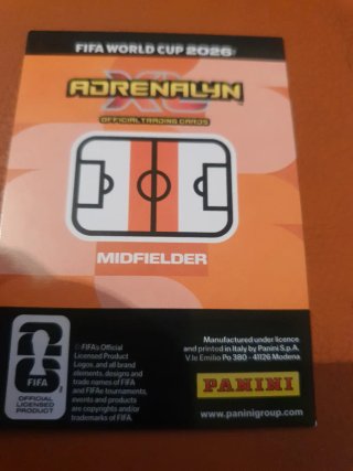 Panini FIFA World 2026