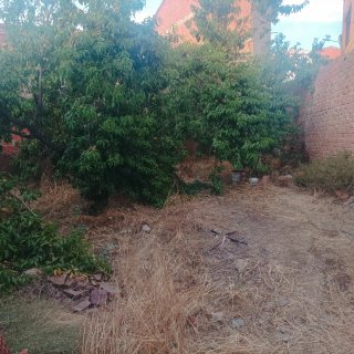 Parcela urbana