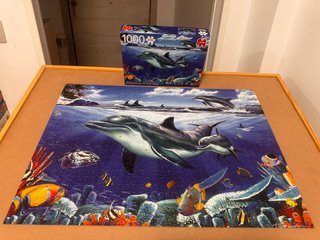 Puzzle 1000 piezas Delfines en el Mar