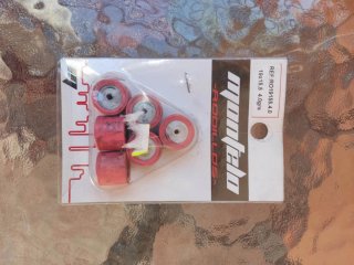 Rodillos Piaggio Zip 50c.c. 19x15,5 4.0gr