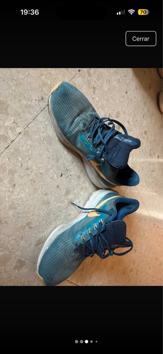 Nike Air Zoom Pegasus 39 Azules