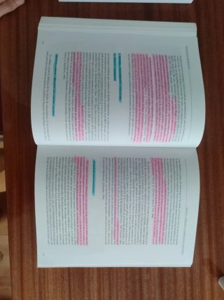 Psicología del desarrollo II
