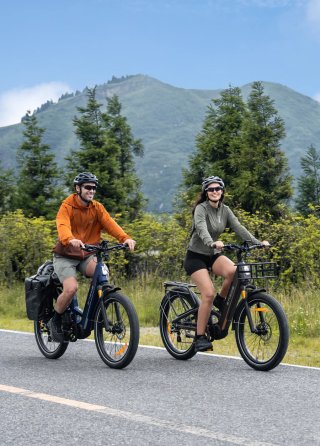 Bici Eléctrica ENGWE E26 3.0 Pro