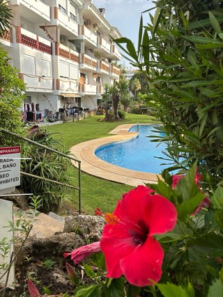 Jardinero en Fuengirola , Mijas  .