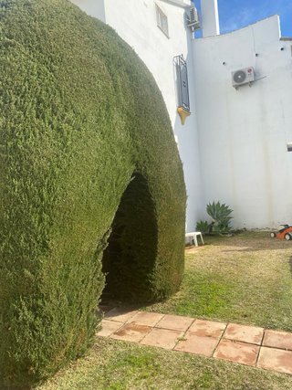 Jardinero en Fuengirola , Mijas  .