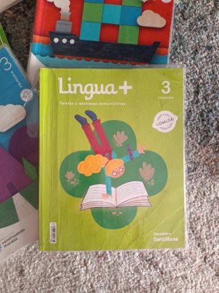Libros de texto de 3 de primaria.