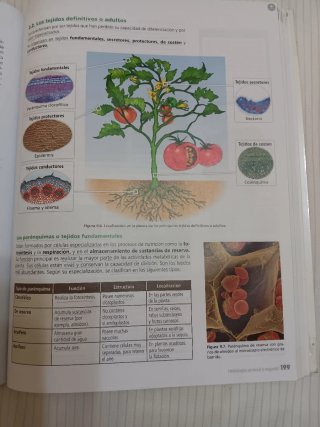 Inicia dual Biología y geología 1 Bachillerato