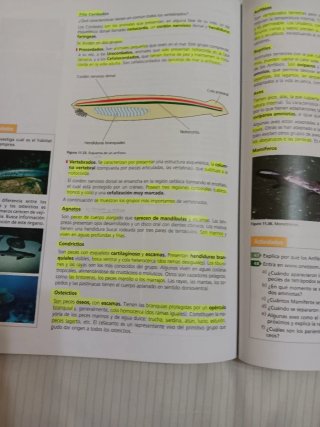 Inicia dual Biología y geología 1 Bachillerato