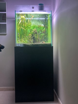 Acuario 300L Completo