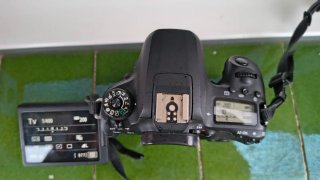 Canon EOS 77D Cuerpo